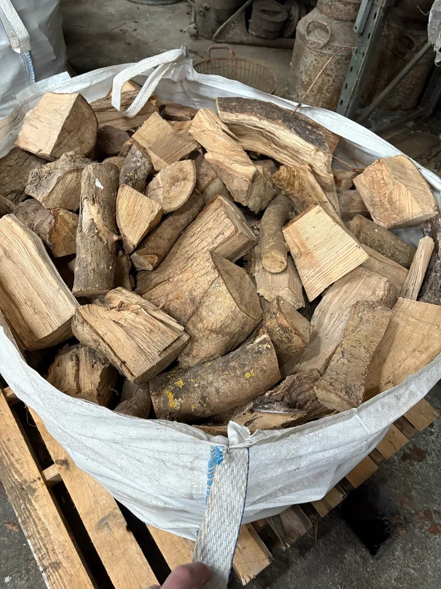Fire wood - Image 3