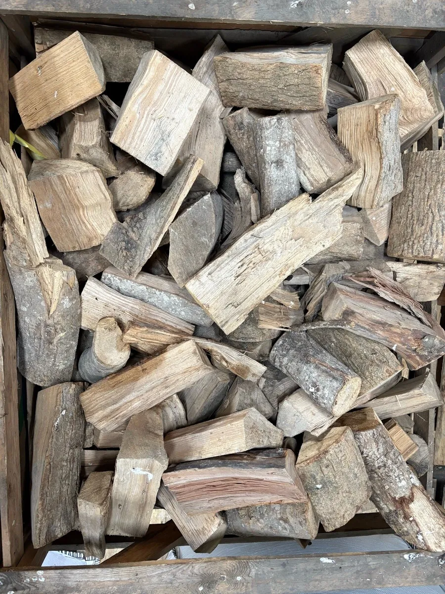 Fire wood - Image 4
