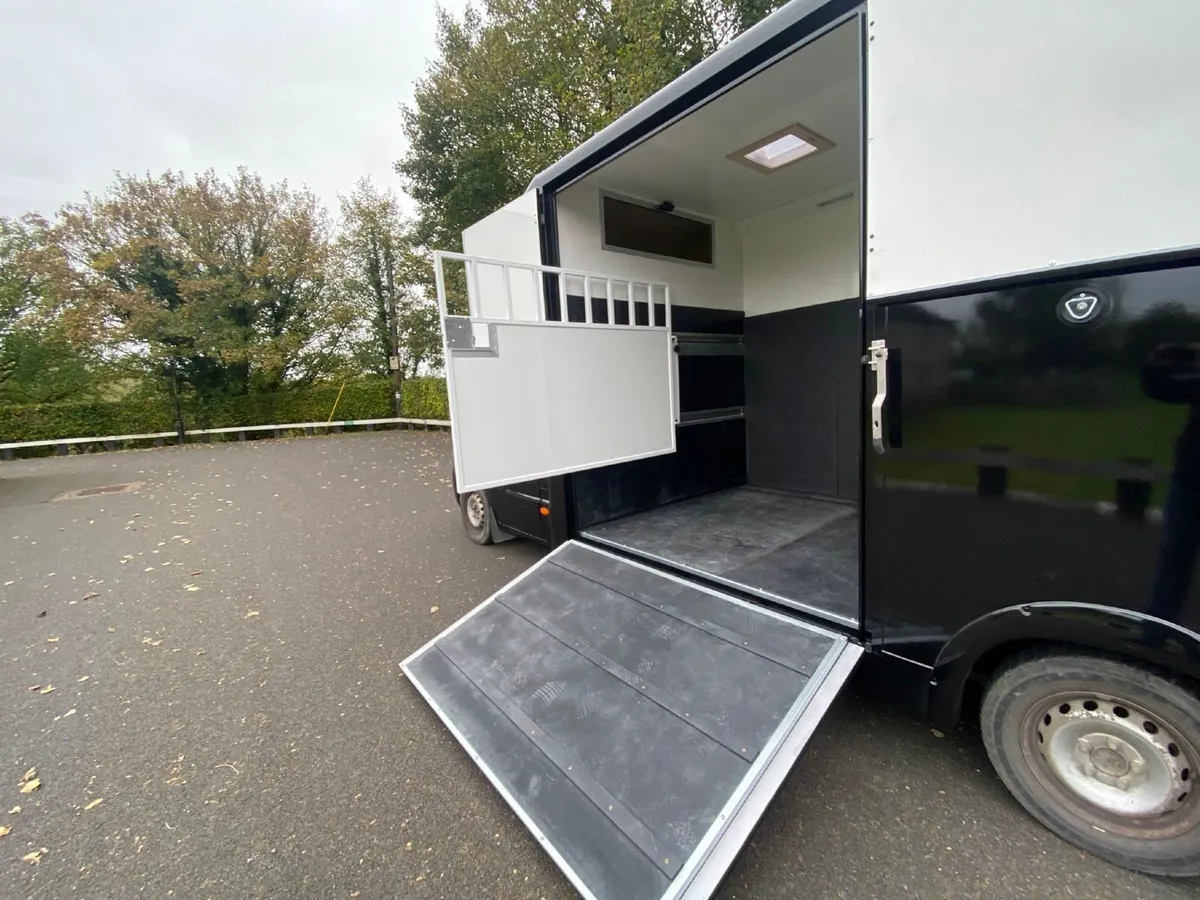2 horse van Renault Master  2016 - Image 2