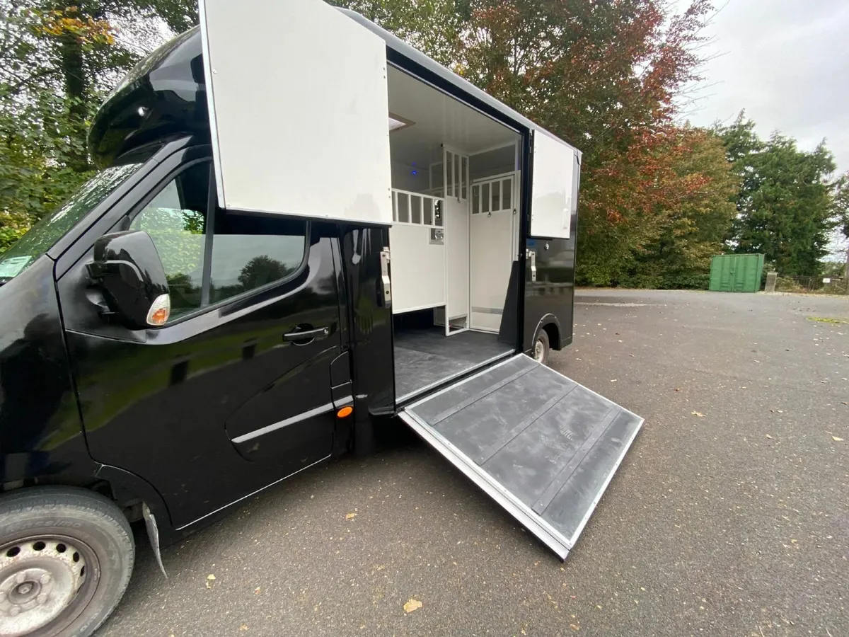 2 horse van Renault Master  2016 - Image 3