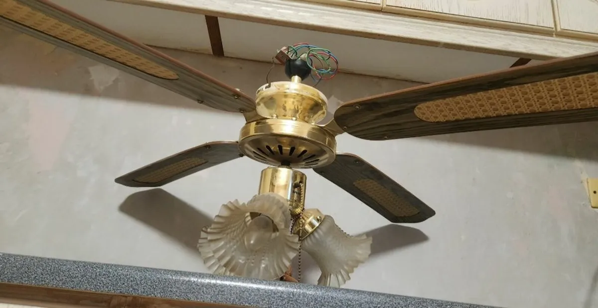Ceiling Fan - Image 1