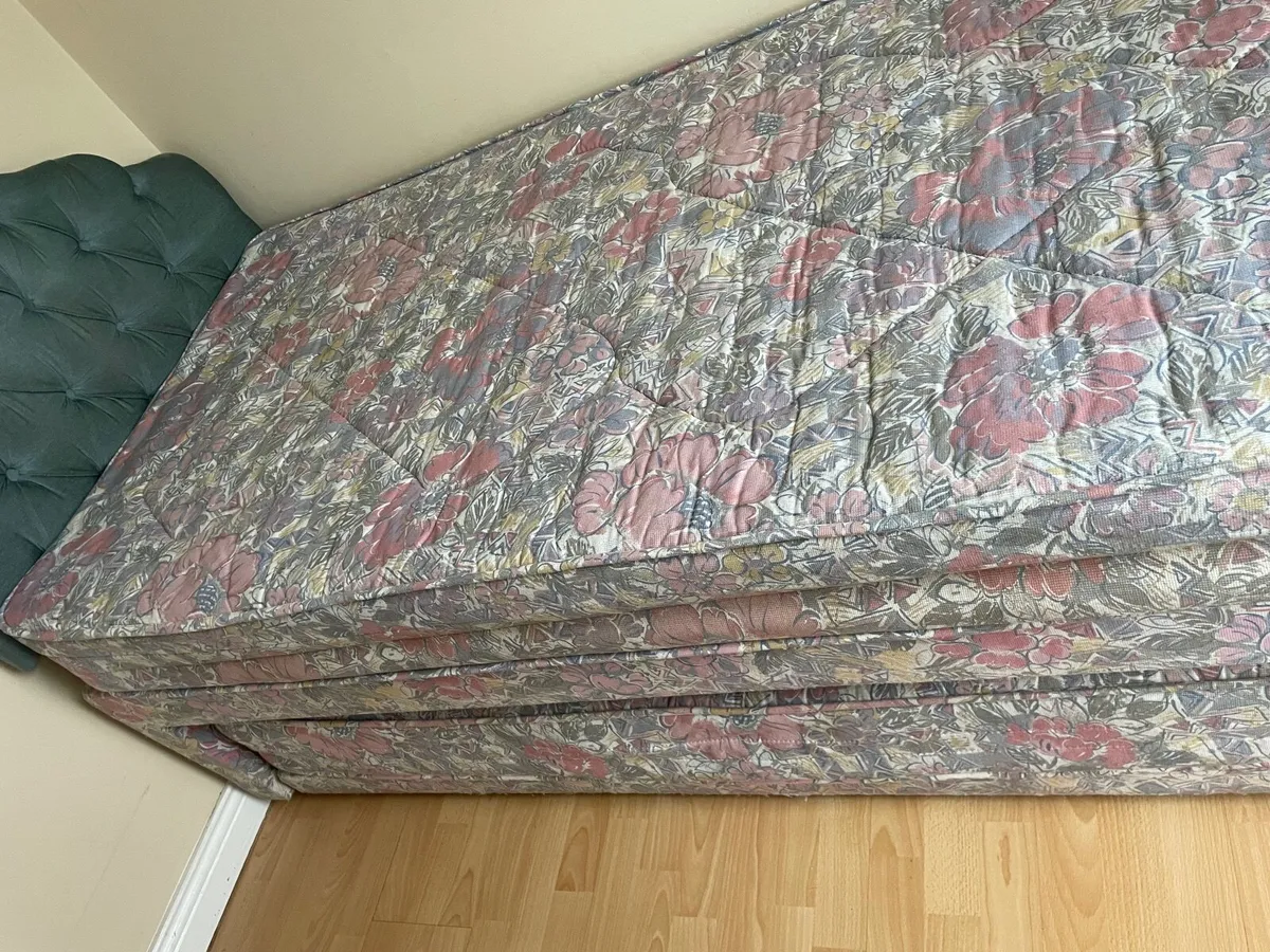 Trundle Bed - Image 1