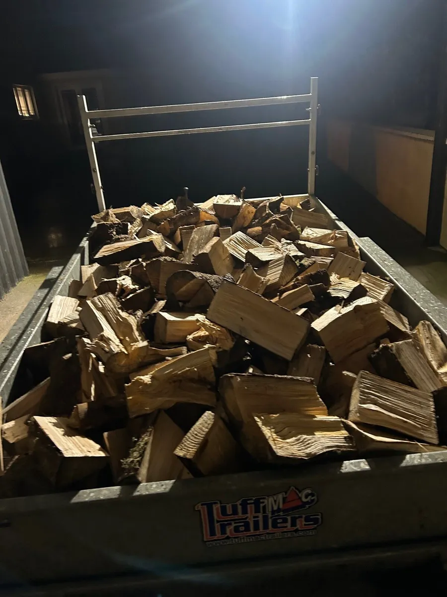 Dry Firewood trailer loads or bags - Image 2