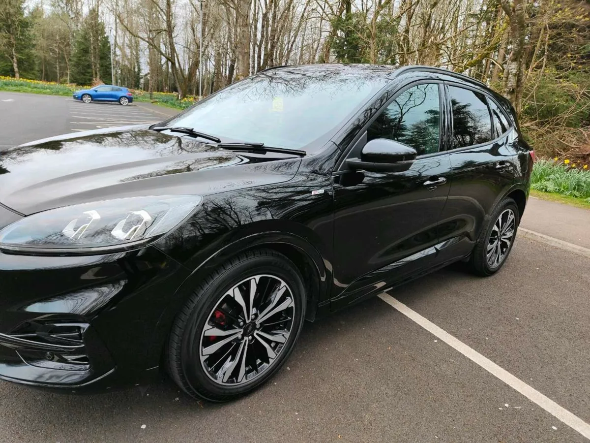 2020 MK3 KUGA ST LINE X ECOBLUE MHEV - Image 2