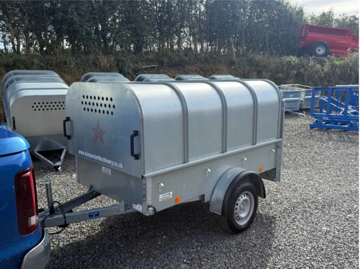 YOUNGSTOCK TRAILER 7x4 NEW - Image 1