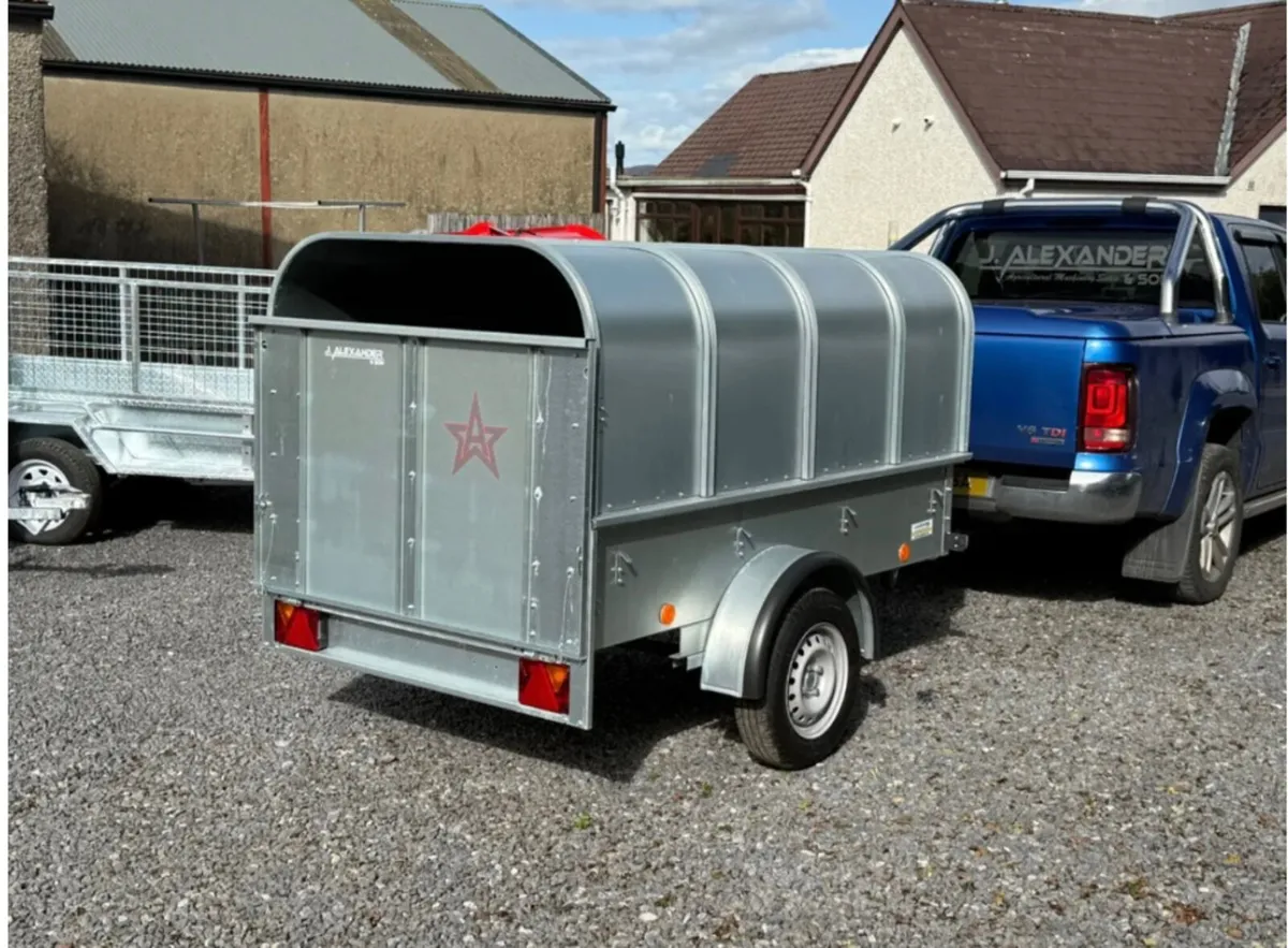 YOUNGSTOCK TRAILER 7x4 NEW - Image 3