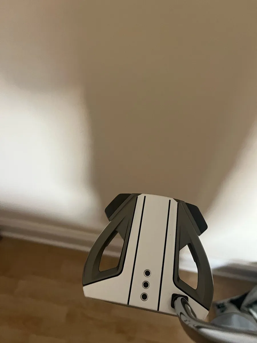 Taylormade Spider - Image 3