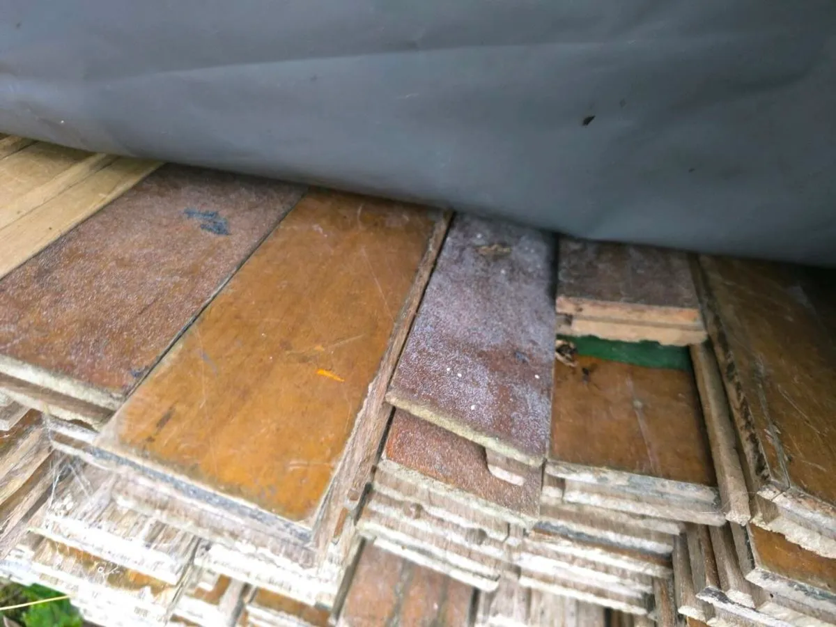 Maple flooring - Image 1