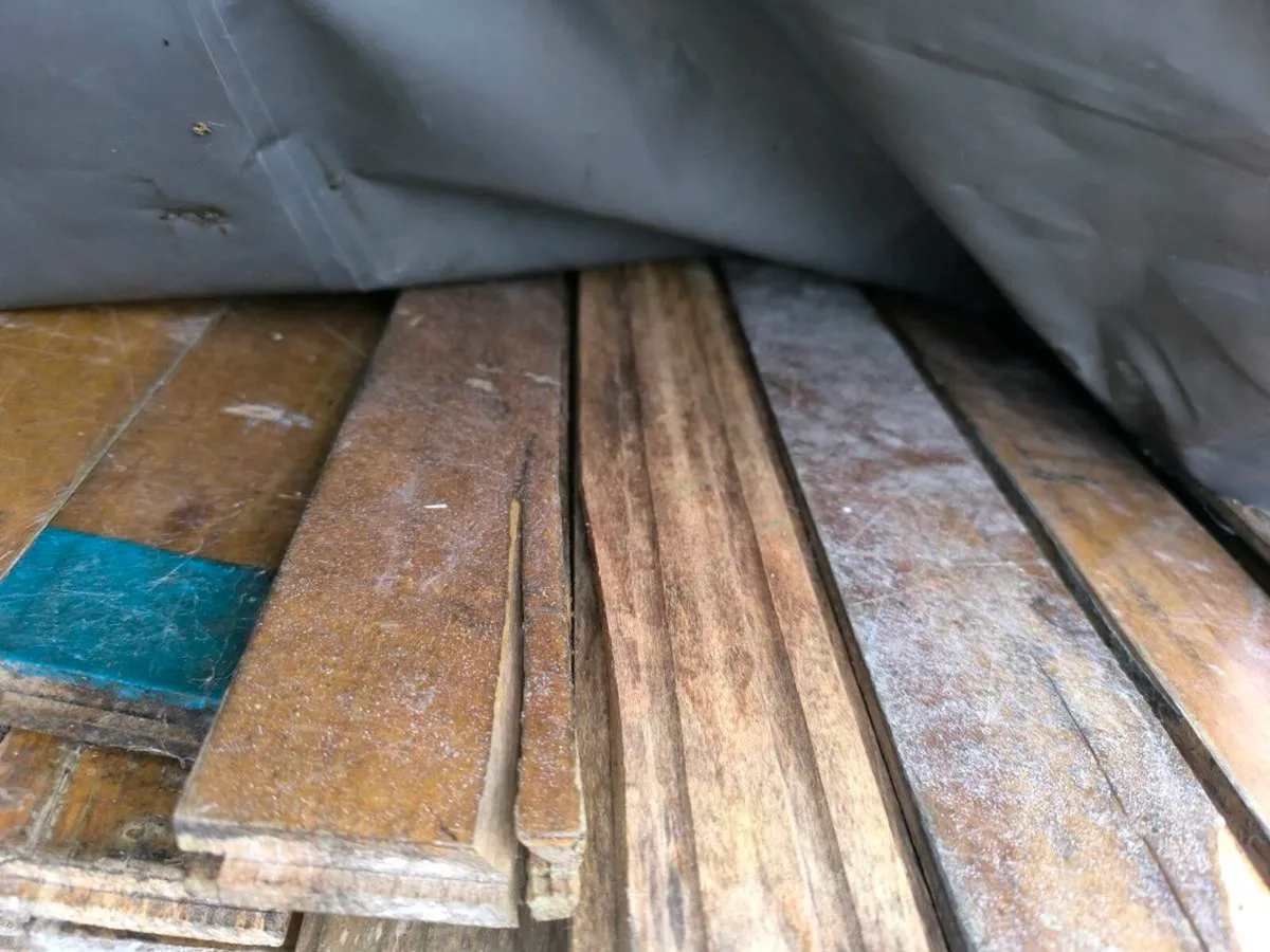 Maple flooring - Image 2