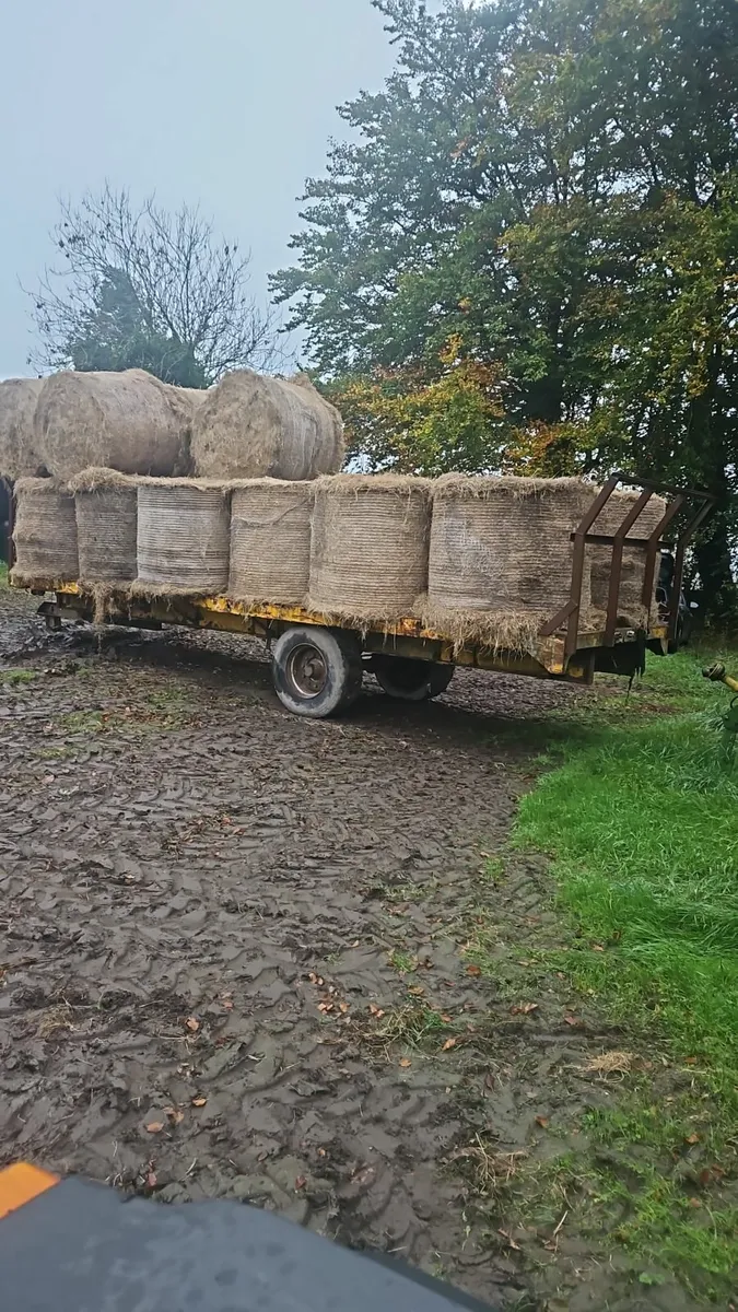 Hay/bedding