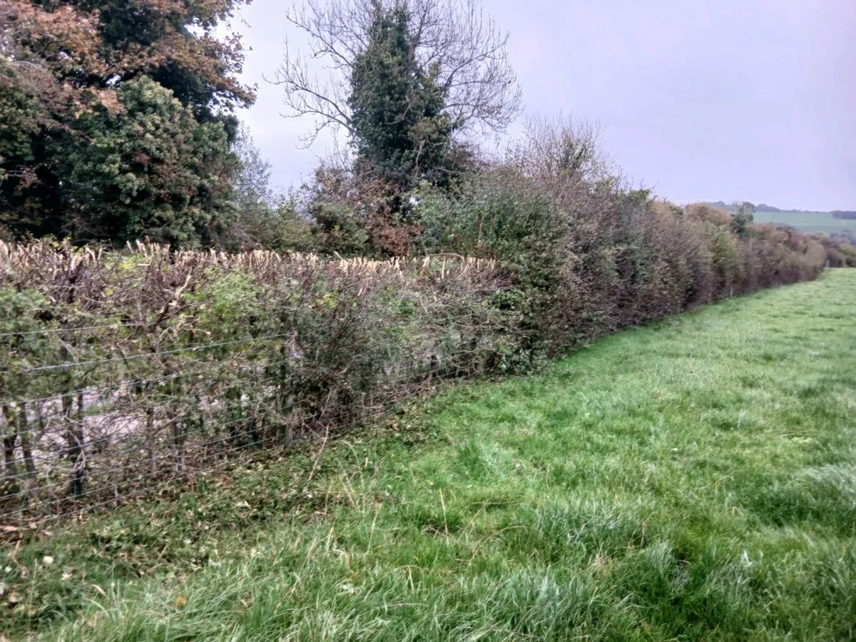 C.weldon & sons  excavation works - Image 2