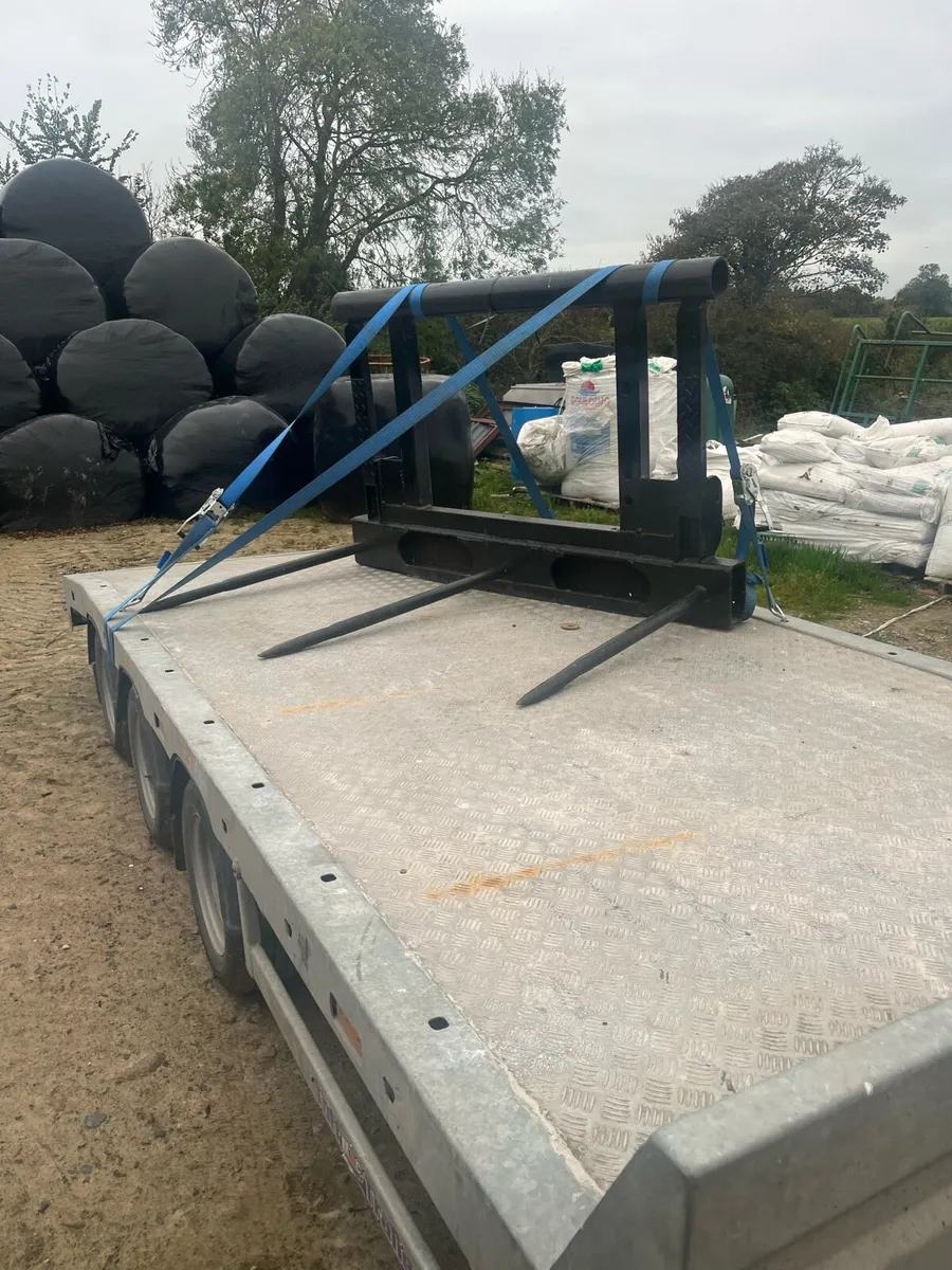 Bale spike - Image 1