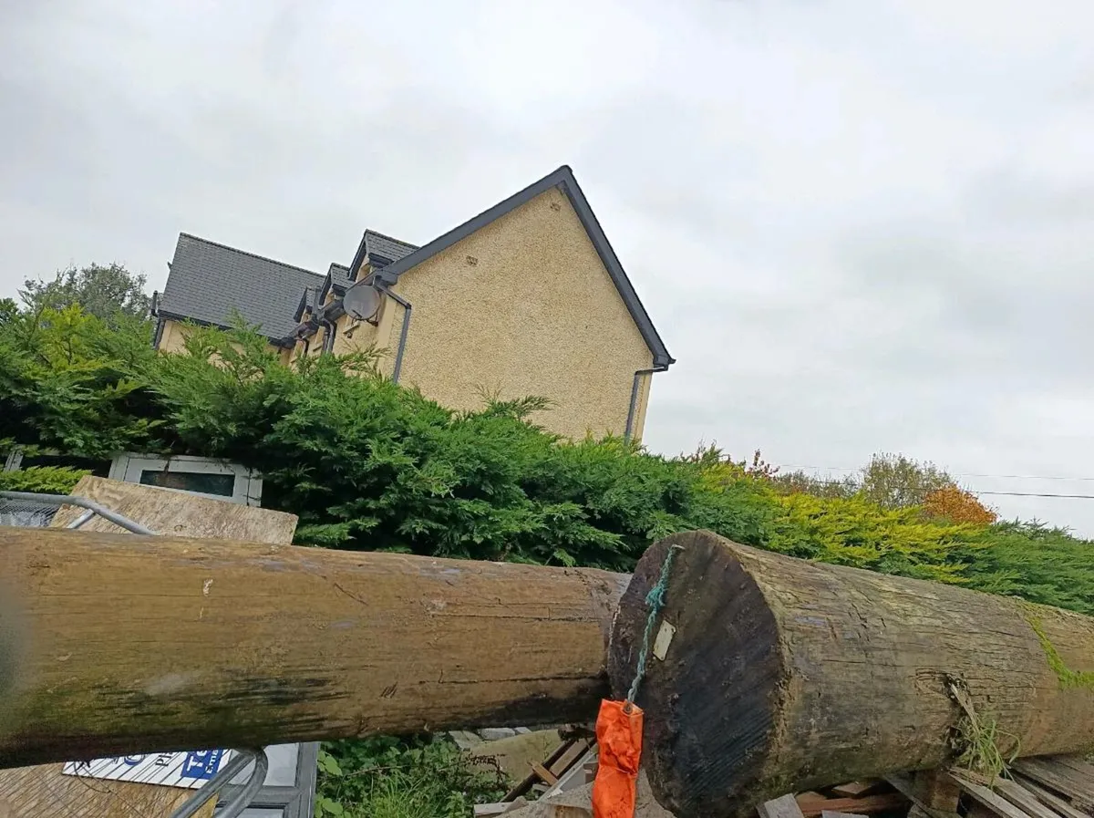 Esb poles - Image 1