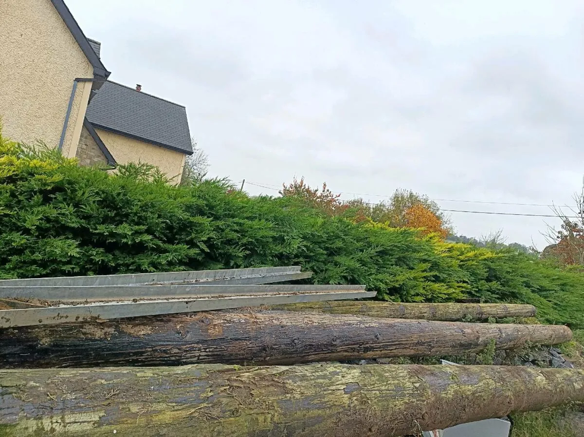 Esb poles - Image 2