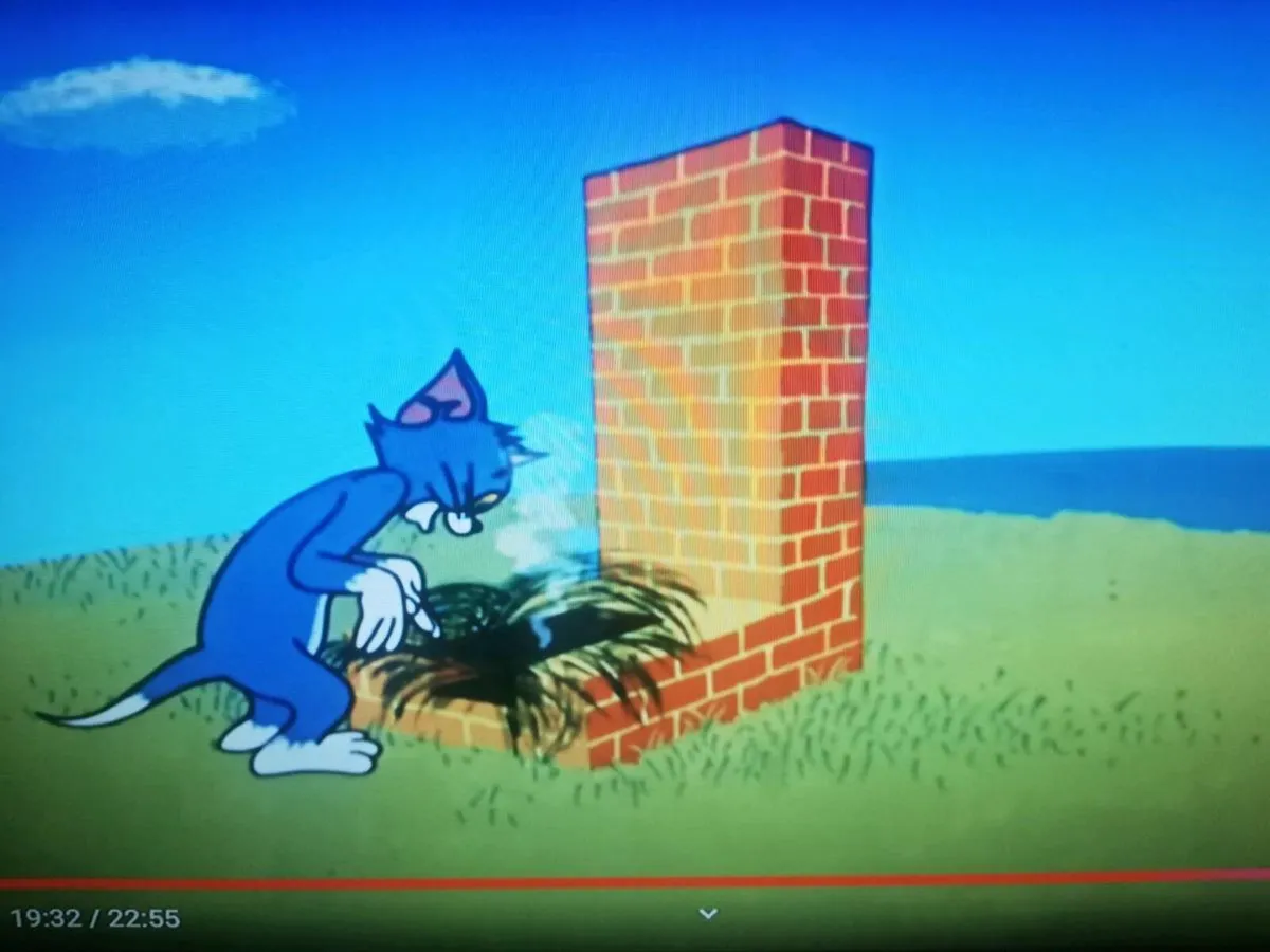 Tv - Image 2