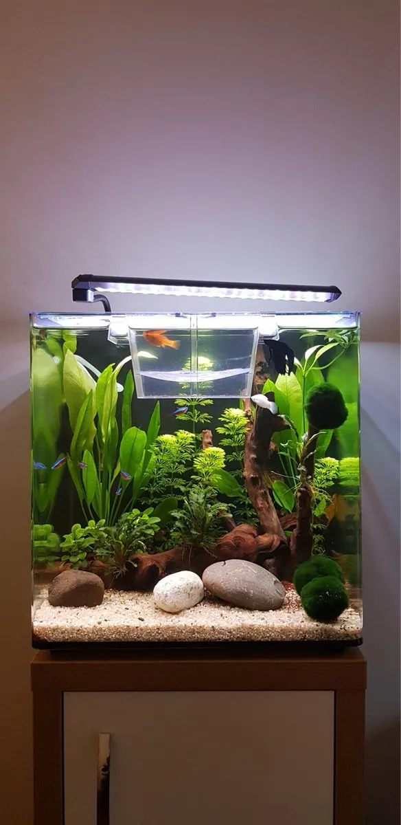Aqua One Marine fish tank empty with a cabinet. - Image 1