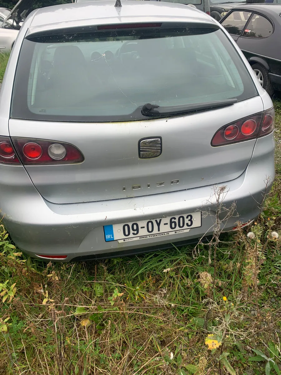 2009 SEAT IBAZA - Image 3