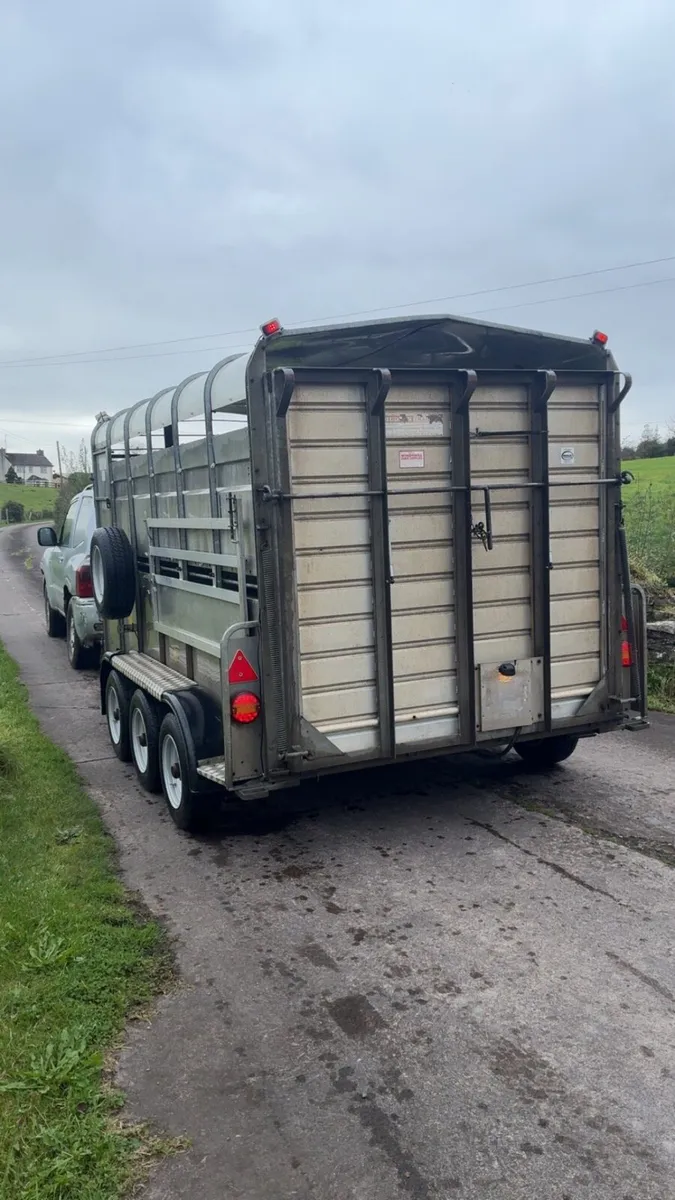 Hudson 12 foot tri axle cattle / sheep trailer - Image 4