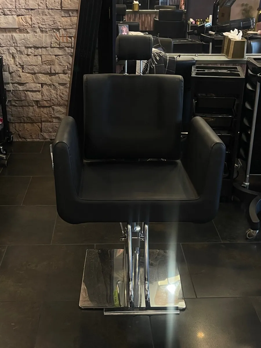 Salon Beauty Chair - Image 1