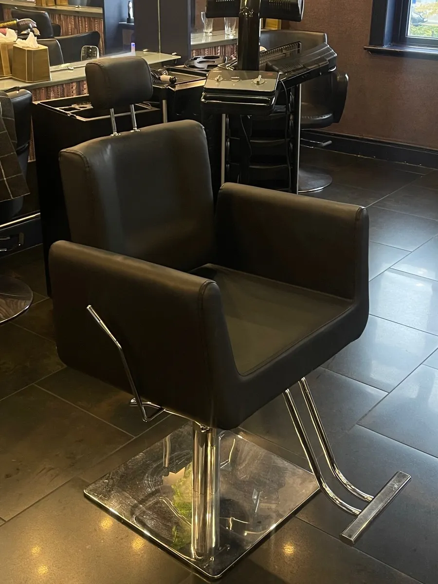 Salon Beauty Chair - Image 4