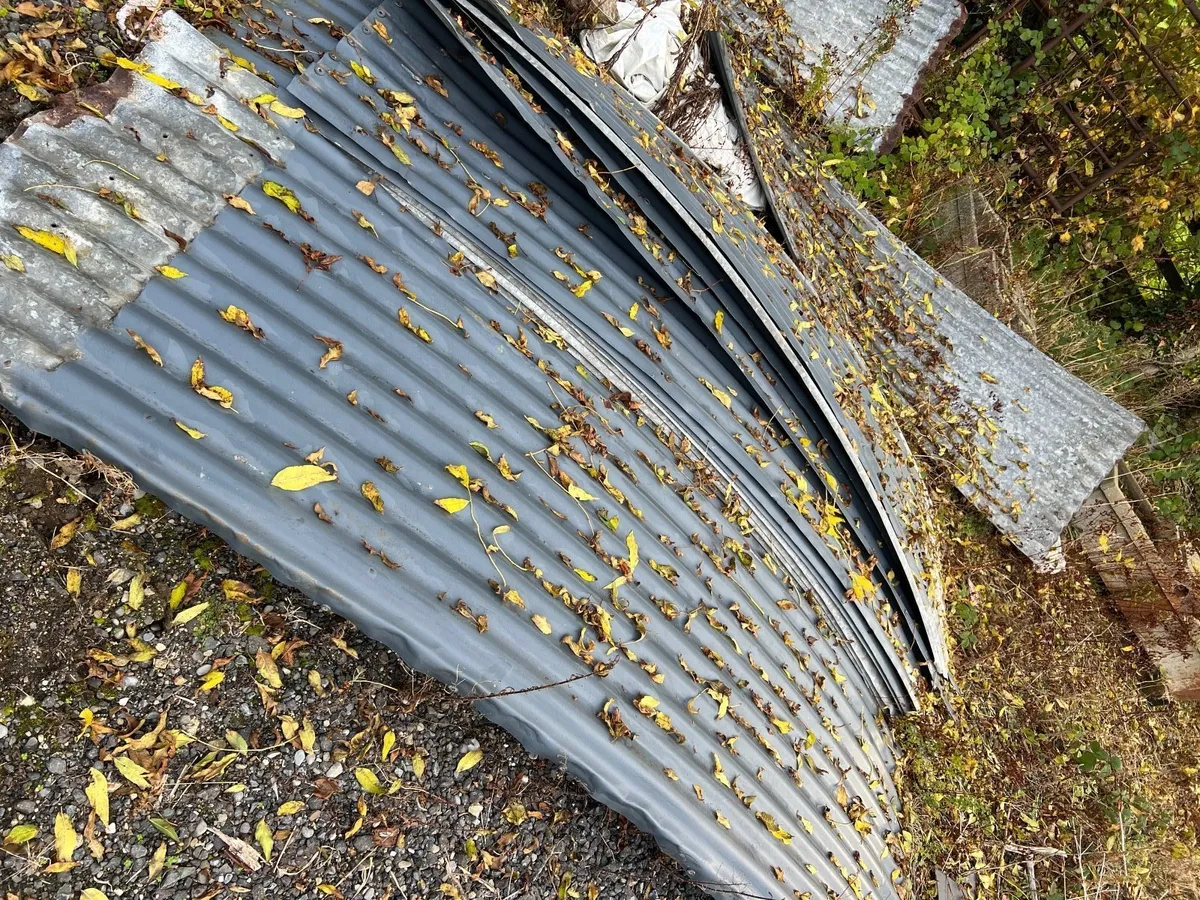 Roof Sheeting- Round Roof Sheeting - 30ft x 20ft - Image 1