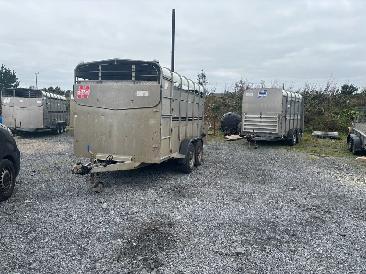 Hudson 12x6 Livestock Trailers x3 - Image 3