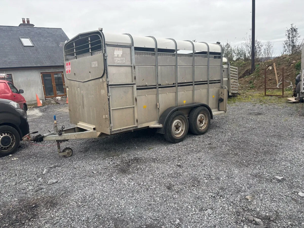 Hudson 12x6 Livestock Trailers x3 - Image 4