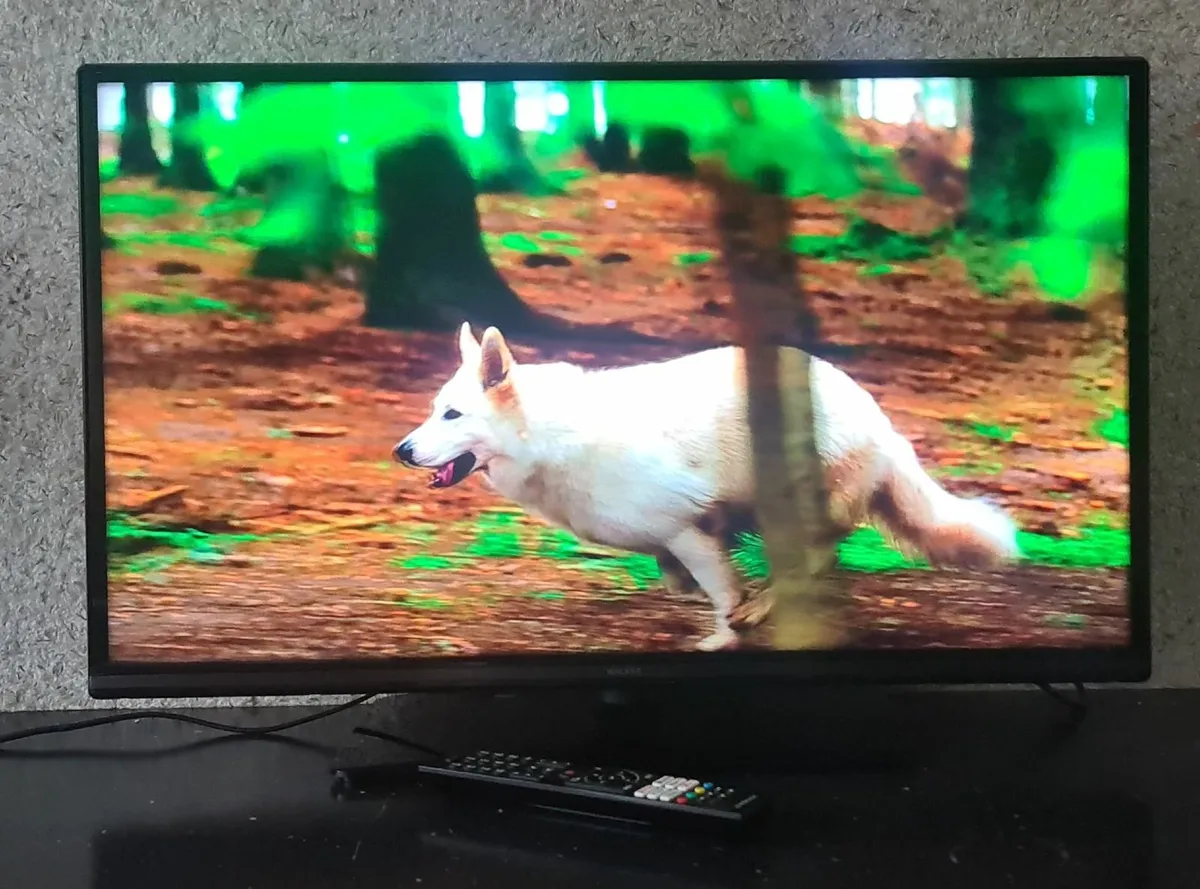 Walker WP32K3224 32″ Smart LED TV - Image 3