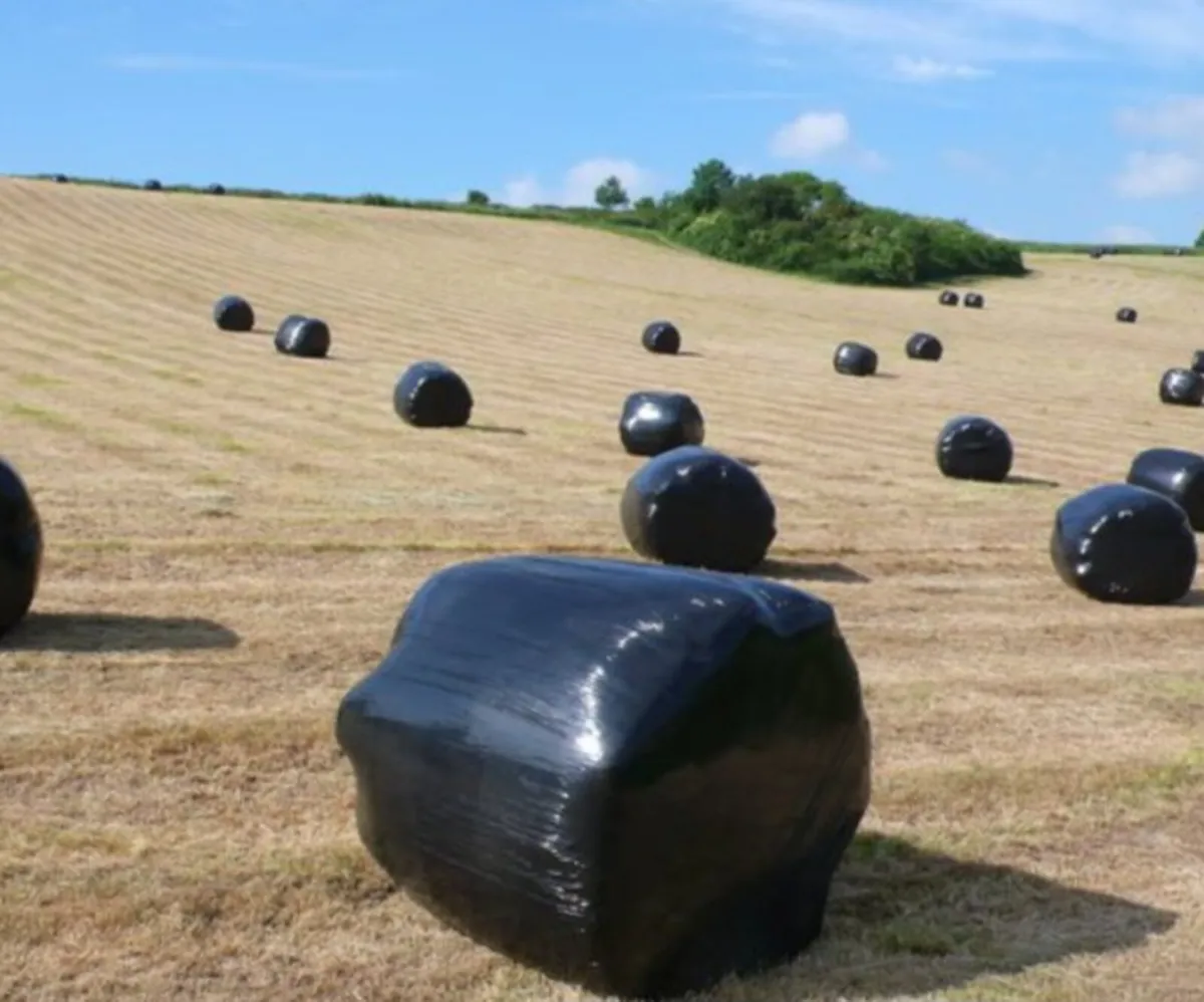 Silage bales - Image 1