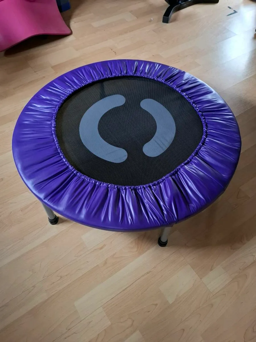 Mini trampoline - Image 1