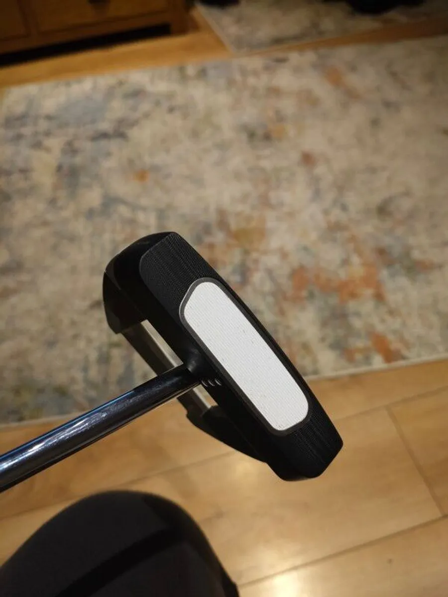 Putter - Image 2
