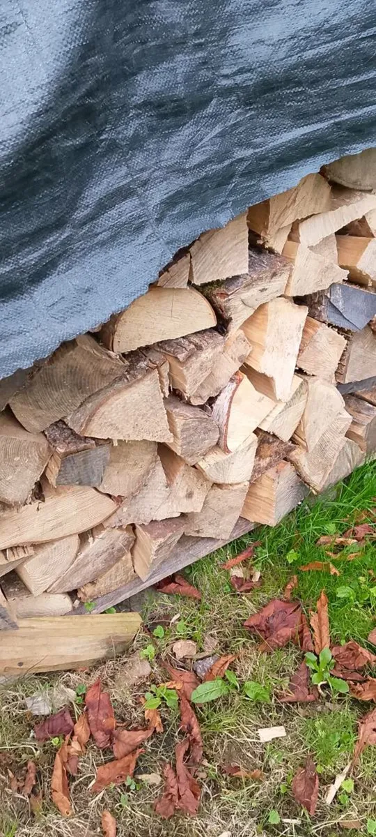 Timber - Image 3