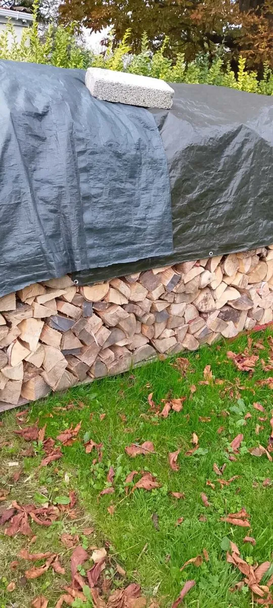 Timber - Image 1