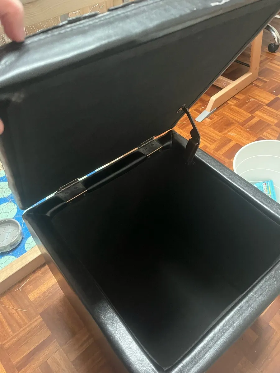 Free leather storage/seat - Image 4