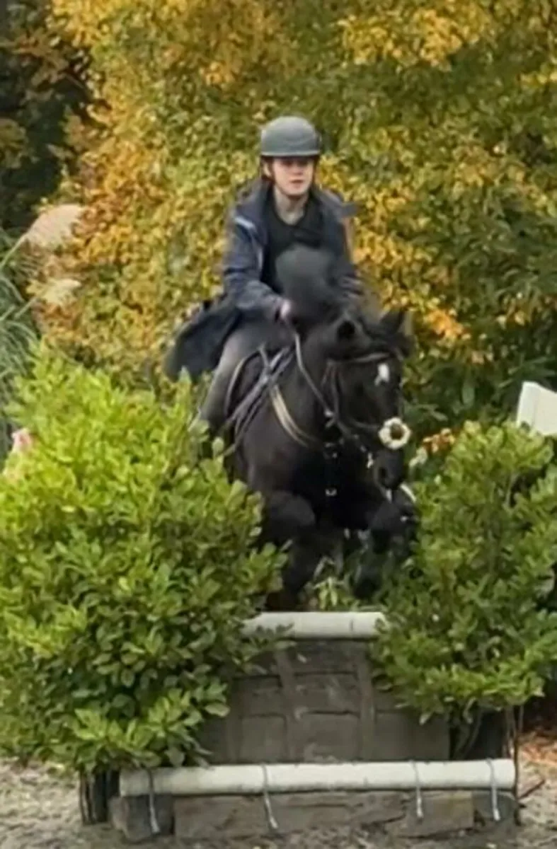 Amazing 128 pony - Image 3