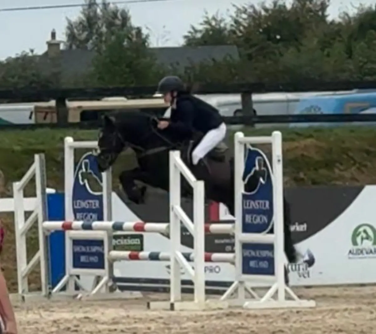 Amazing 128 pony - Image 4