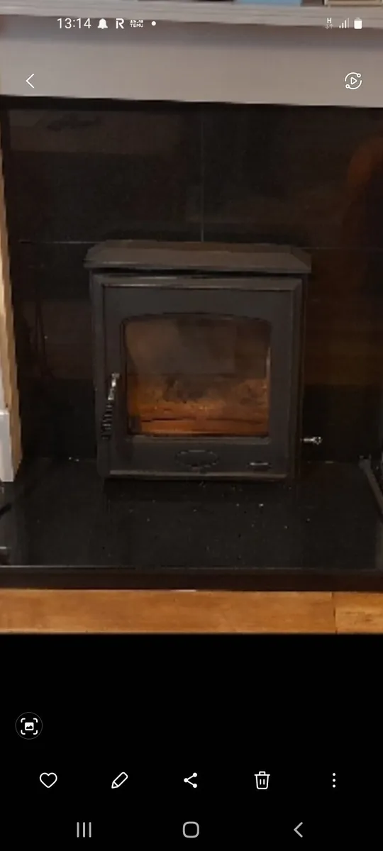 Solid fuel insert - Image 3