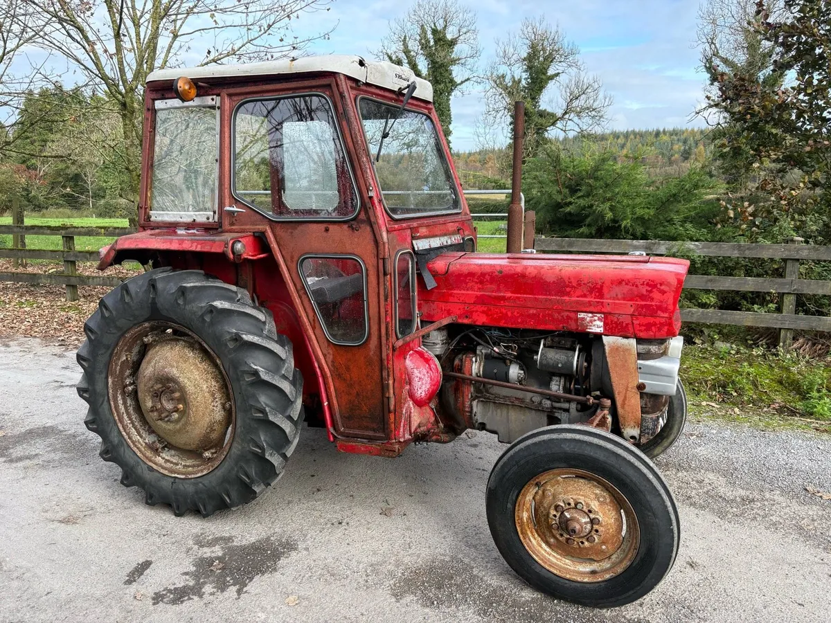 Massey Fergusons - Image 1
