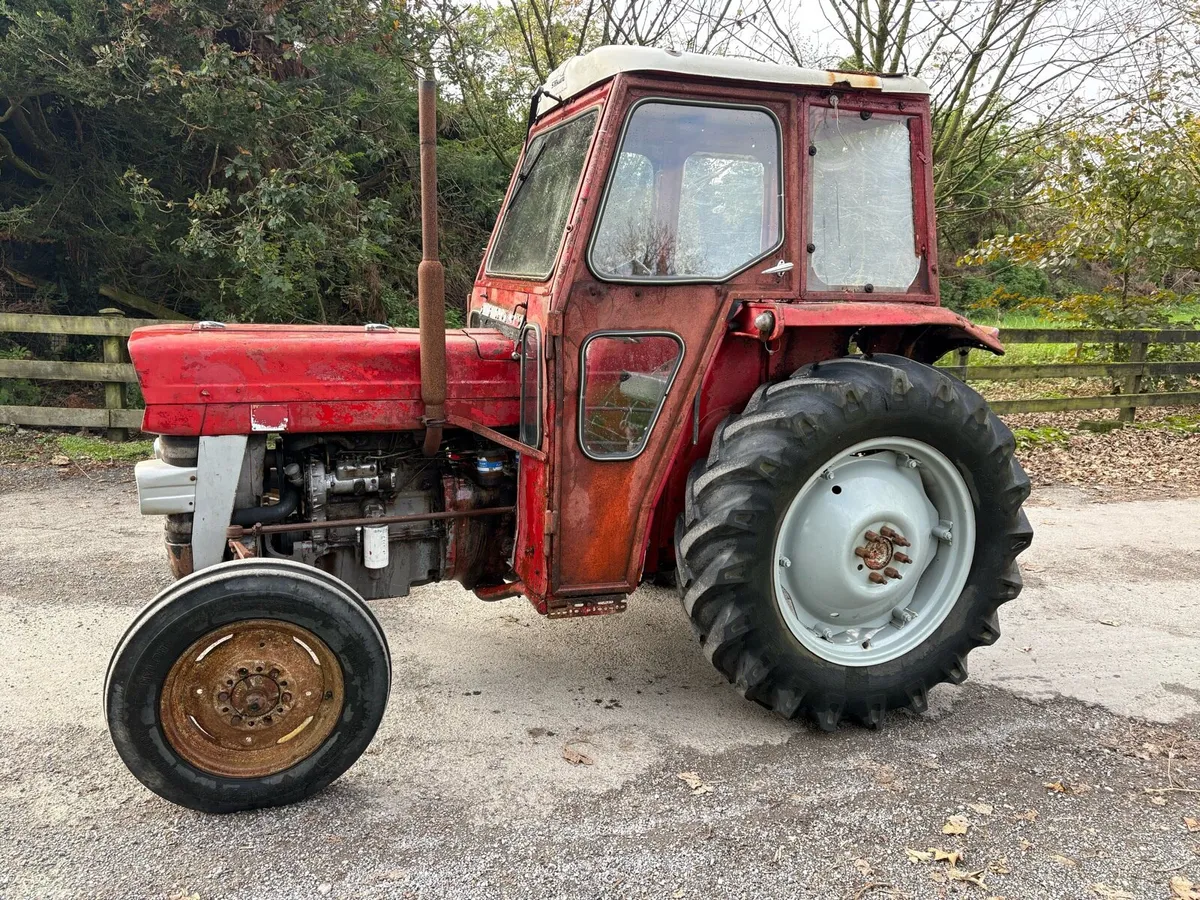 Massey Fergusons - Image 3