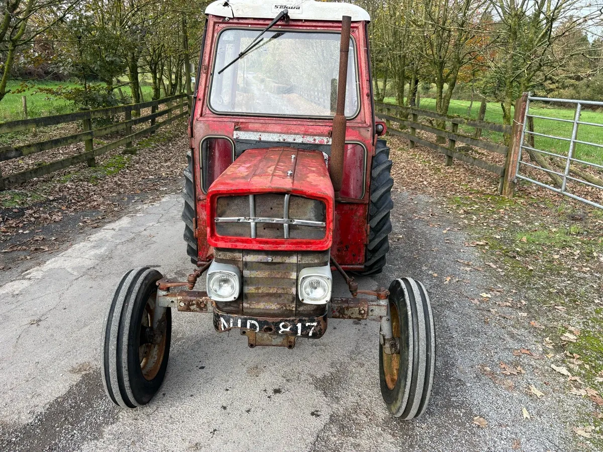 Massey Fergusons - Image 4