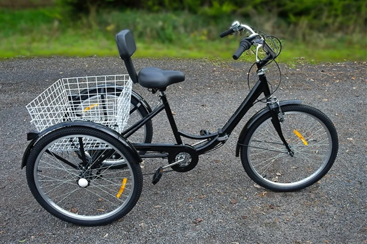 Adult Tricycle