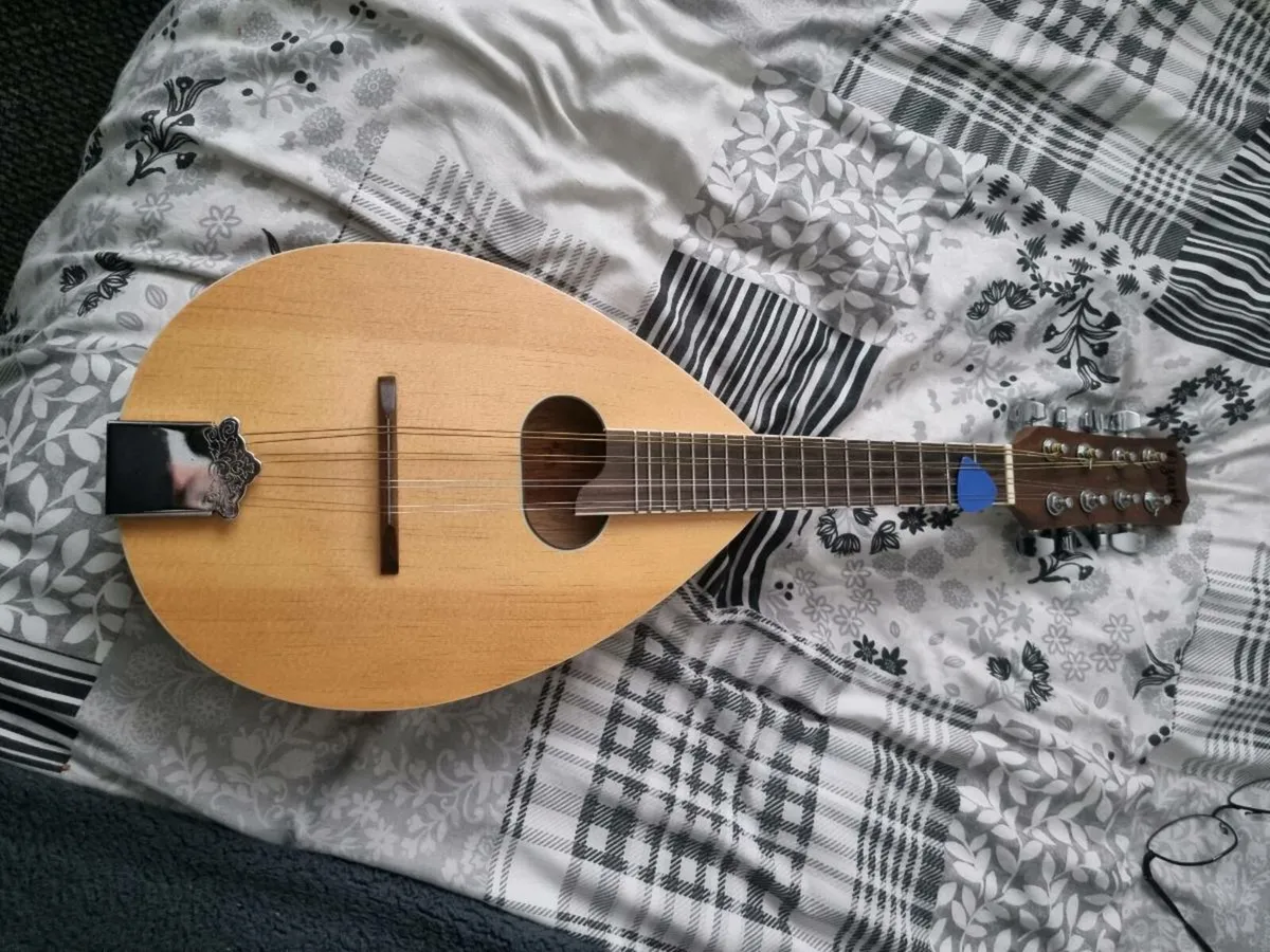 Ozark mandolin - Image 1