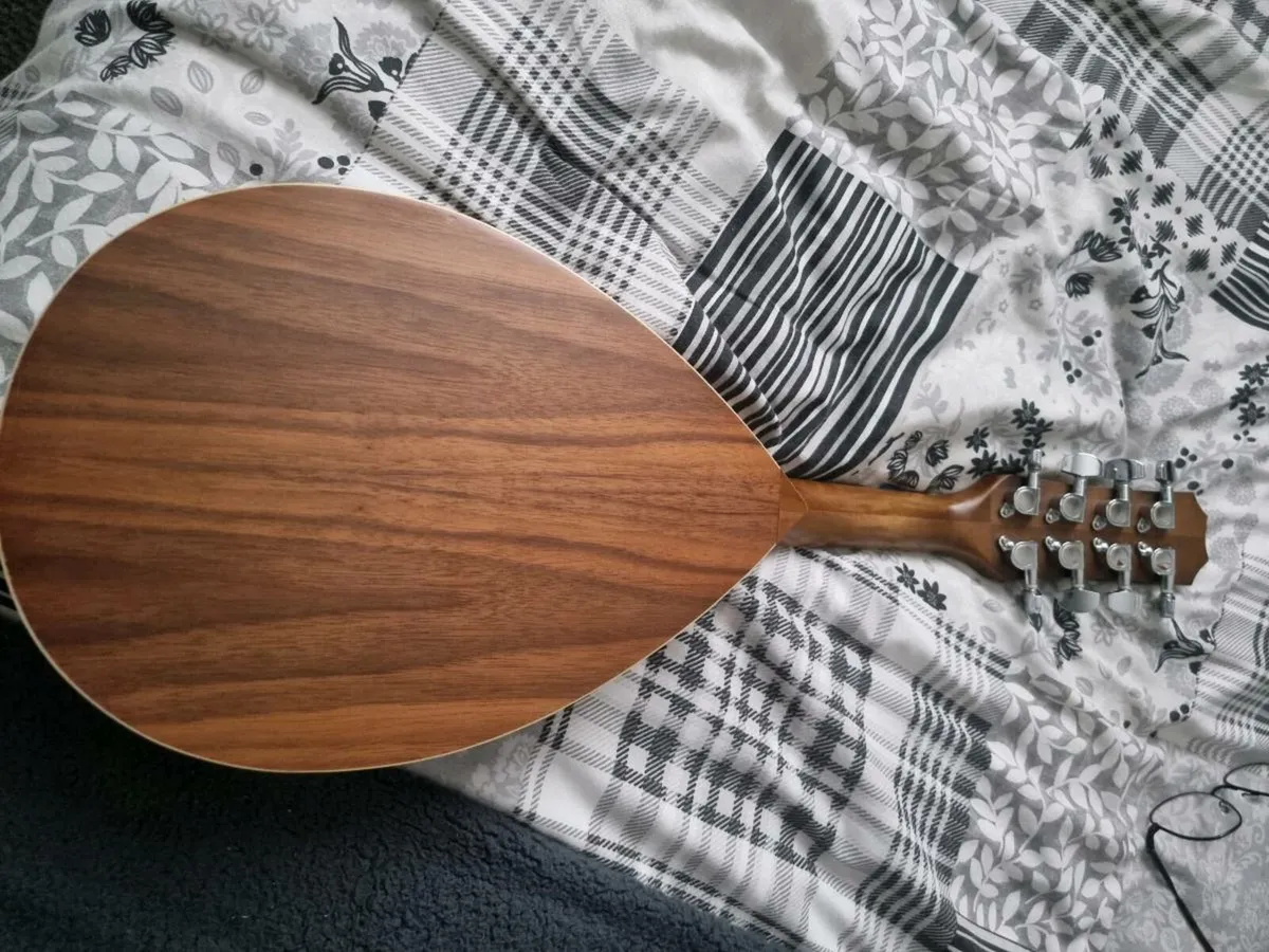 Ozark mandolin - Image 4