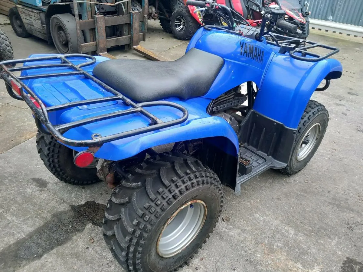 Yamaha bruin 250 - Image 2