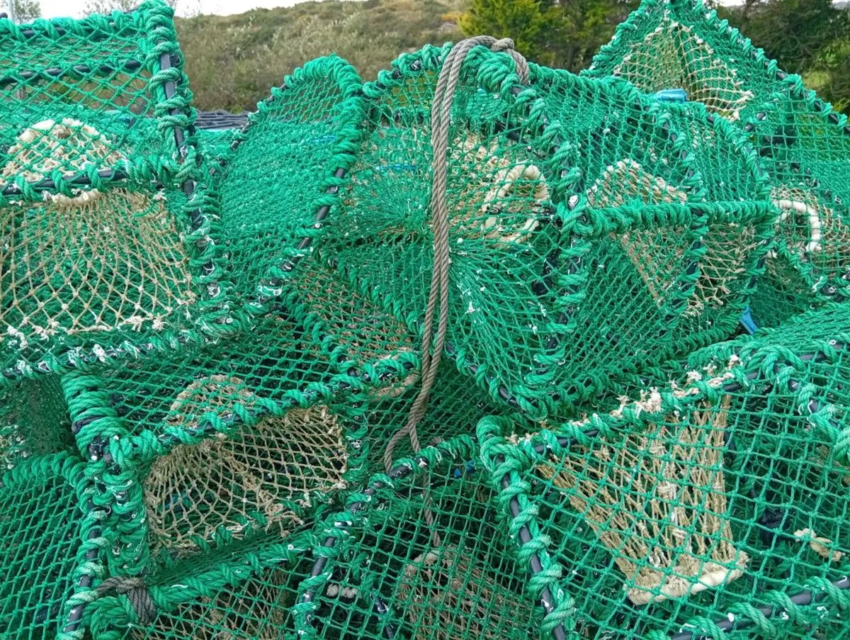 Prawn pots for sale - Image 2