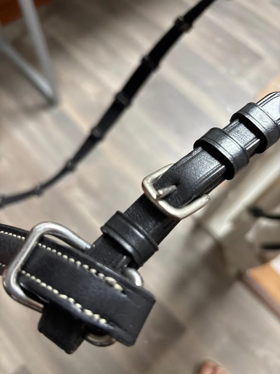 Schockemoehle Pony Bridle - Image 2
