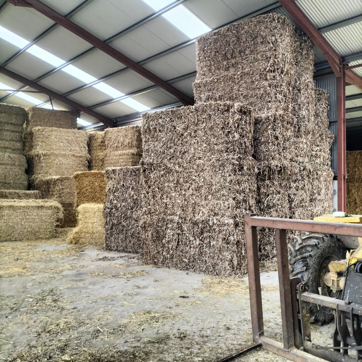 Straw - Image 1
