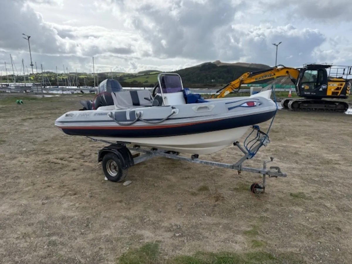 Ribeye RIB 4M - Image 1