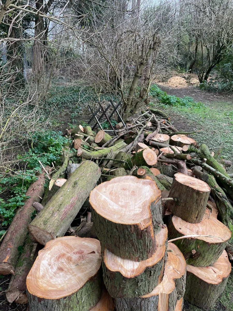 Air dried firewood - Image 2