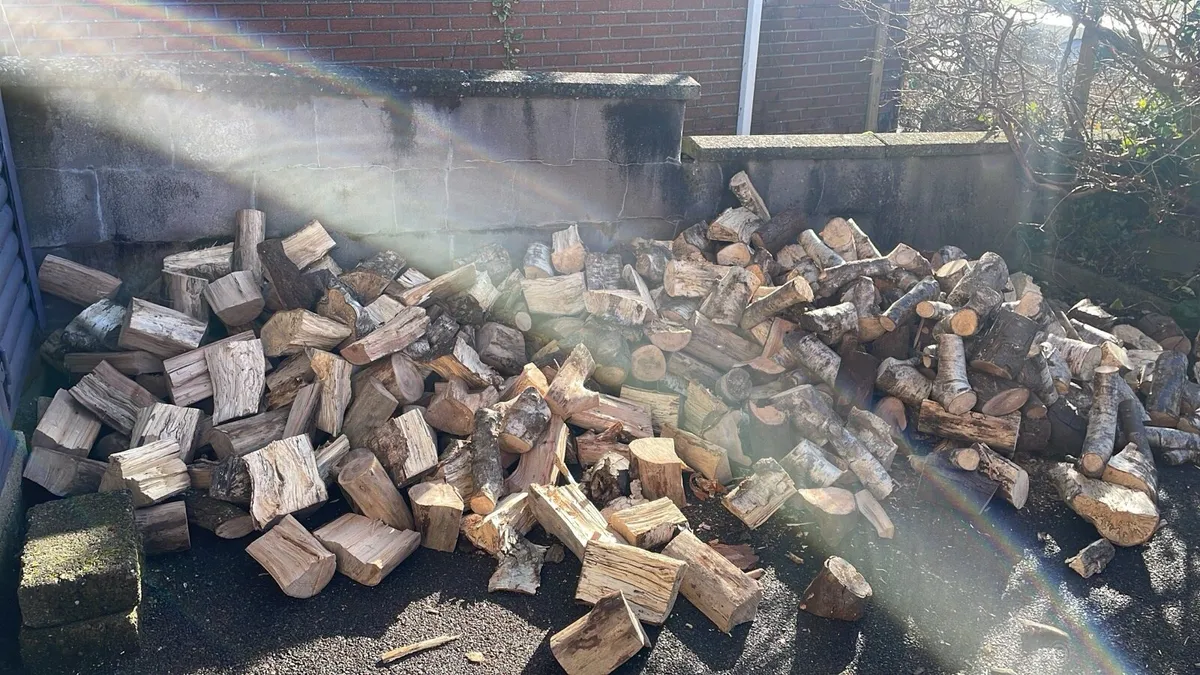 Air dried firewood - Image 3